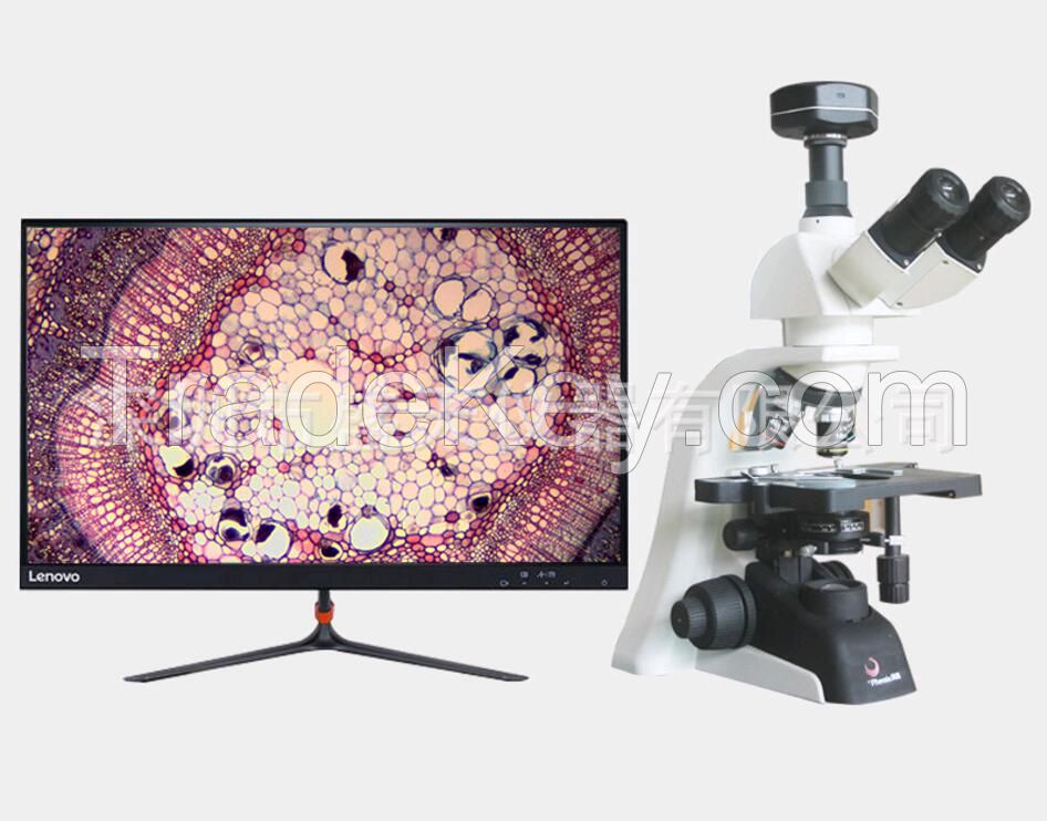 Microscope / electron microscope / stereomicroscope / HD digital microscope