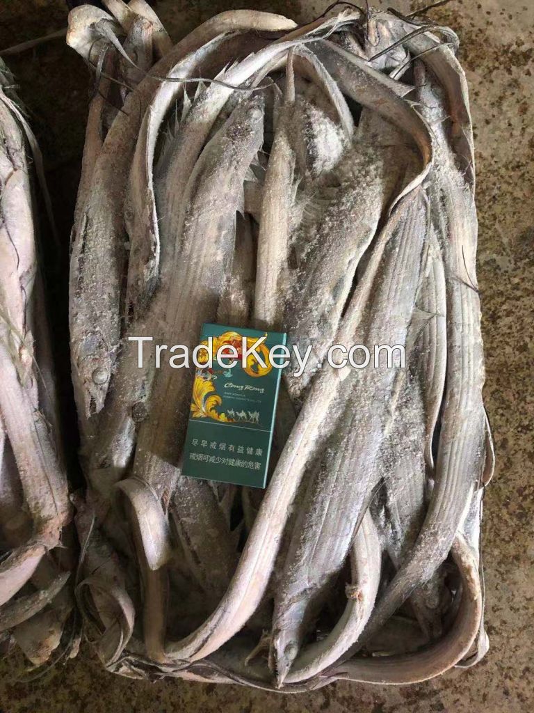 frozen ribbon fish good price and quality
