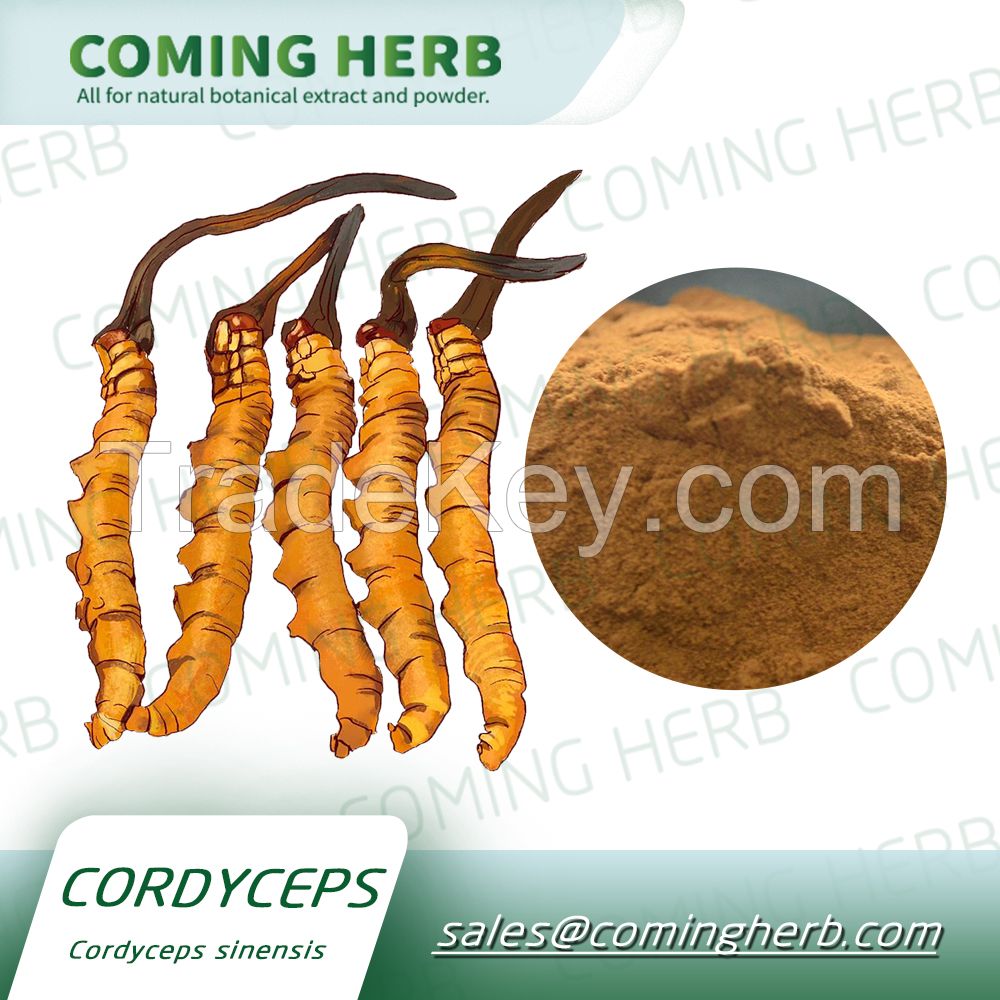 Health care product cordyceps sinensis extract Polysaccharides powder