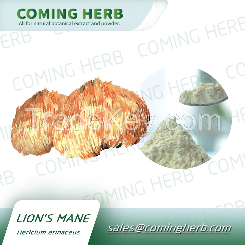 Lion's Mane Mushroom / Hericium Erinaceus Powder
