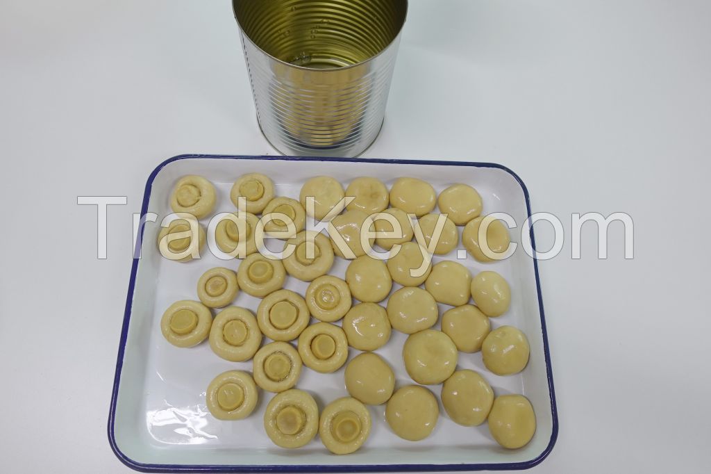 Select Canned Button Mushroom Champignons 400g