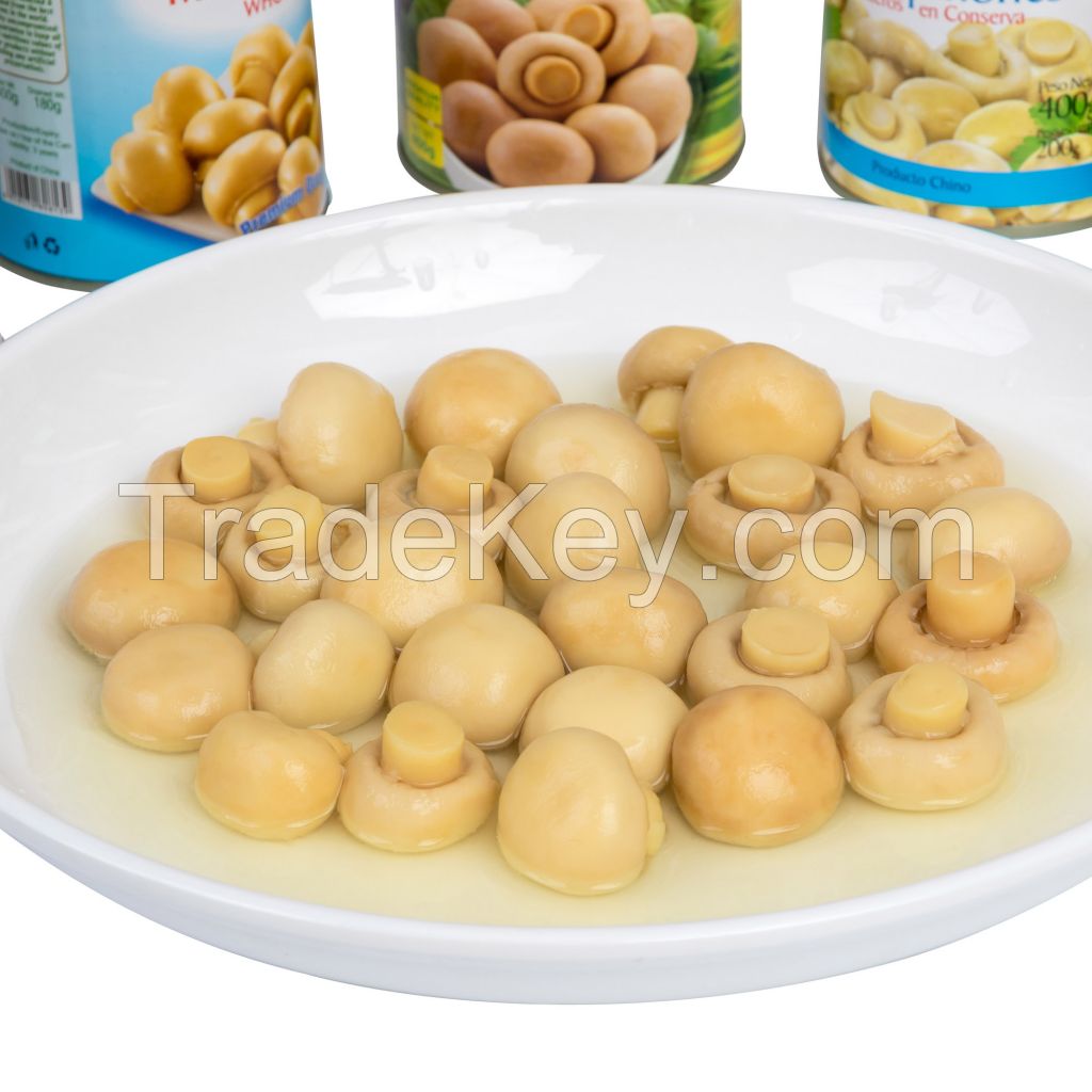 Canned Food Whole Champignon Mushrooms From China