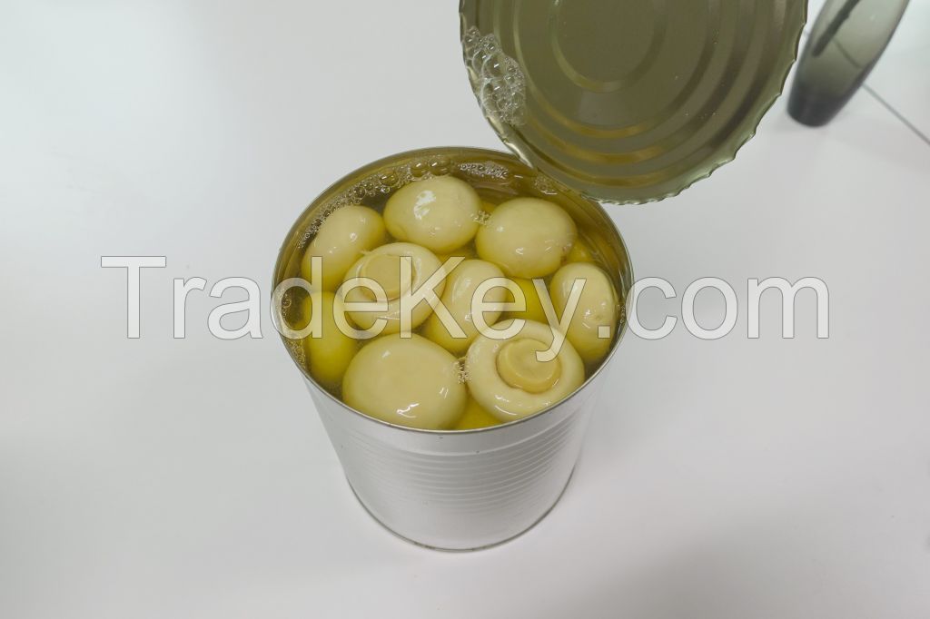 Select Canned Button Mushroom Champignons 400g