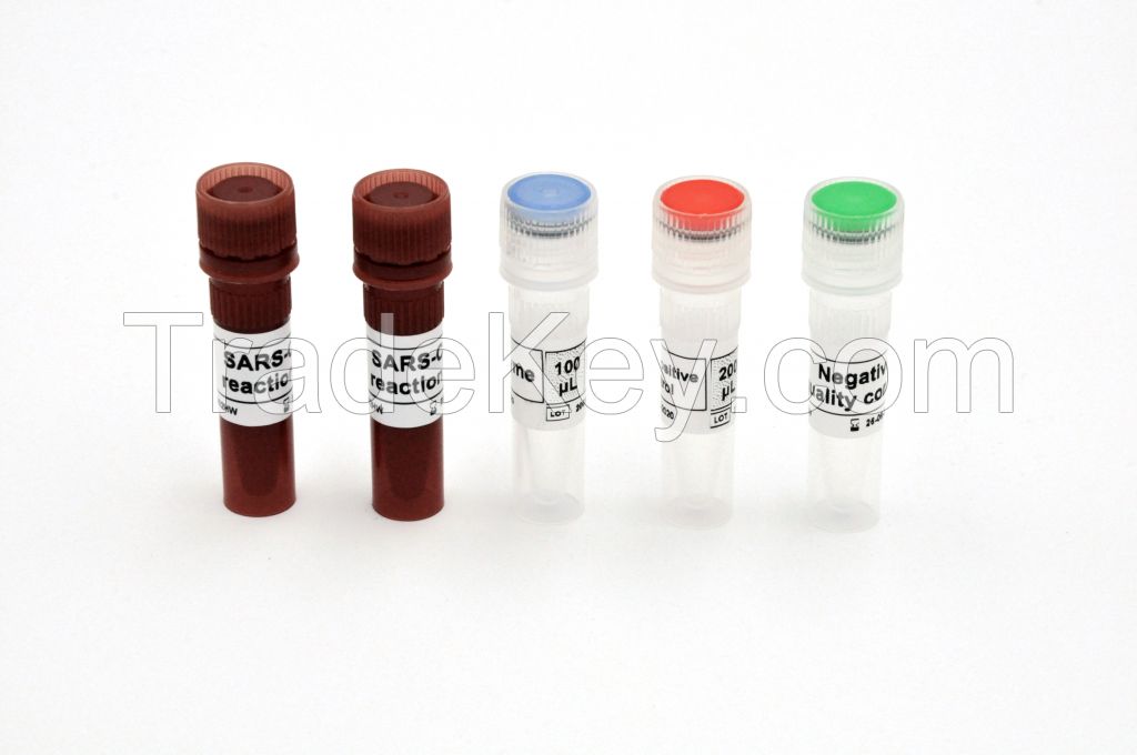 Covid-19 Nucleic Acid Test Kit SARS-CoV-2 rapid test kit (RT PCR method)