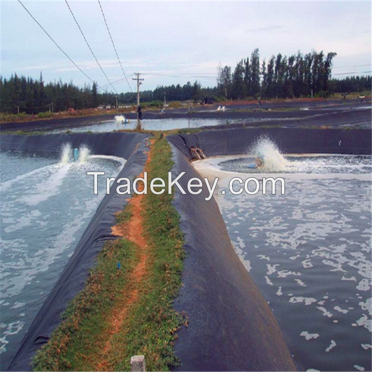 HDPE Geomembrane Liner for fish pond