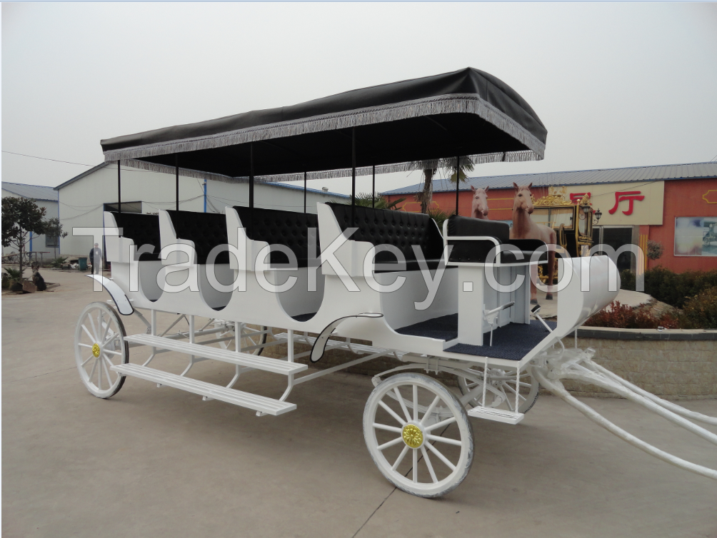 Sightseeing Marathon Horse Carriage With Canopy