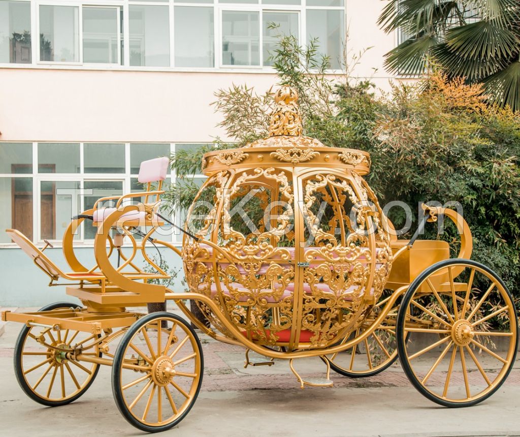 Royal Golden Luxury Fashion Electric Horse Carriage