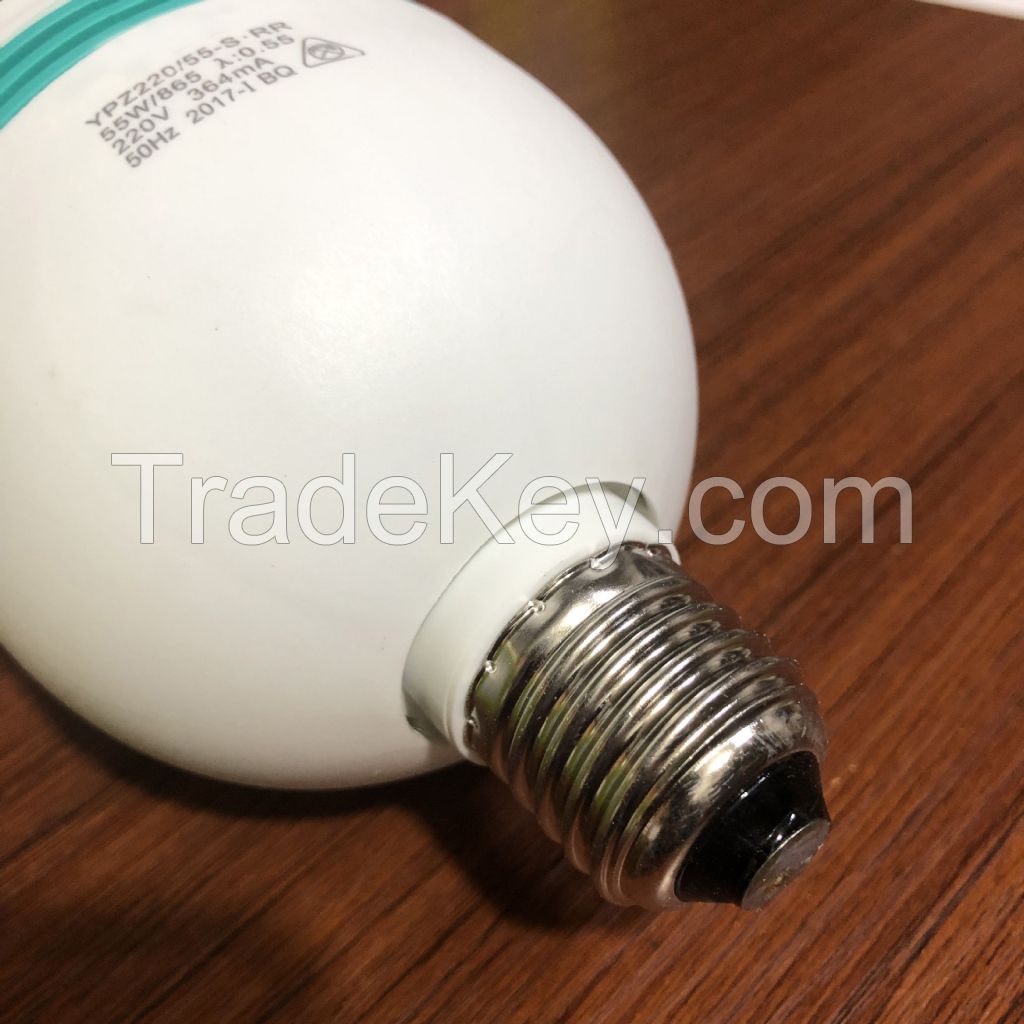 PENDEI Light Bulb