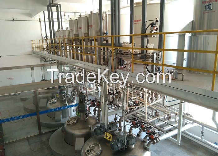 Automatic Liquid Detergent Production Line with Turnkey Project