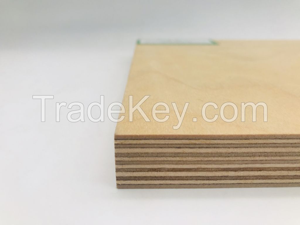 1220x2440x18mm all kinds of plywood for furniture 