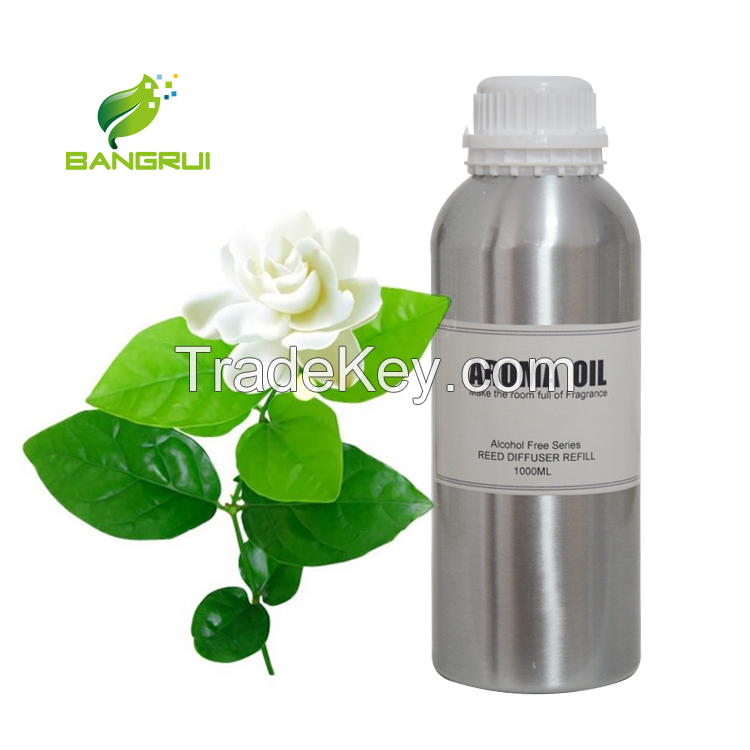 High quality  Aroma Essential Oil for cinema with cheap price