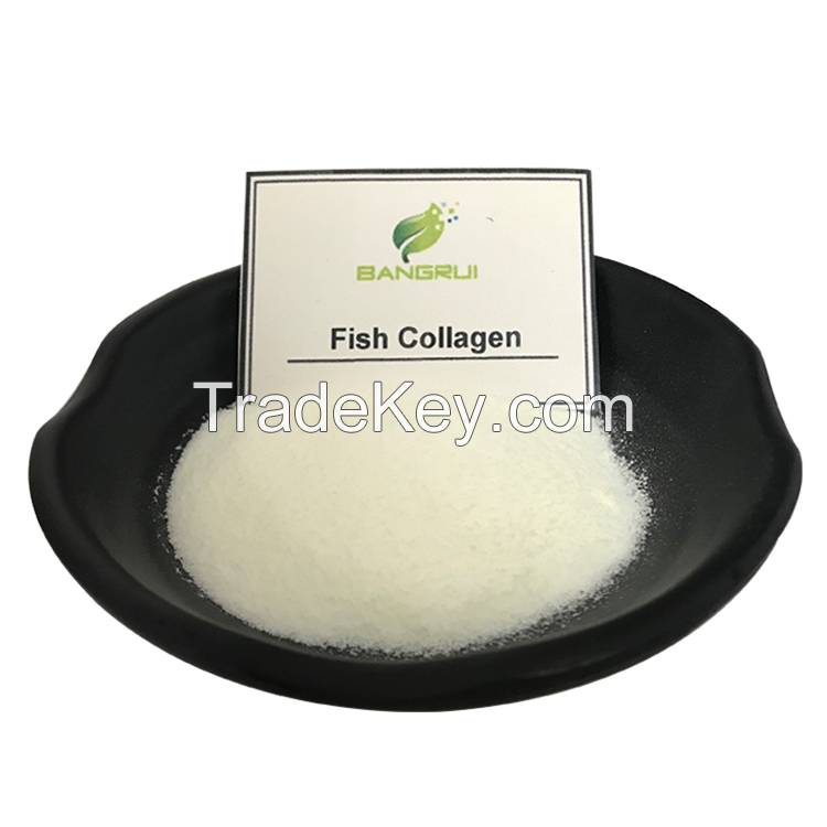 Factory supply anti-aging fish collagen powder hydrolyzed collagen