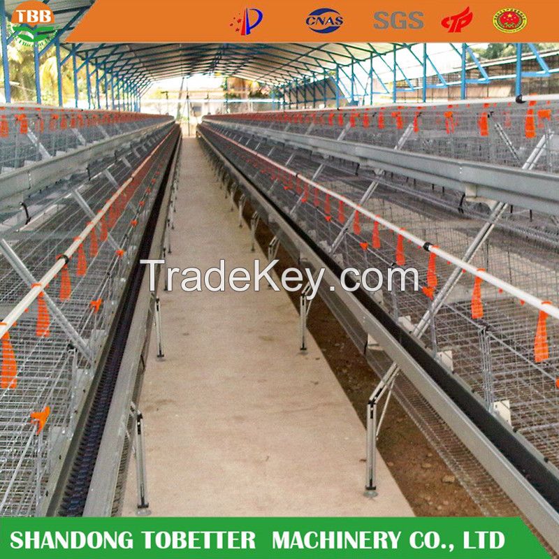 Poultry layer stepped cage