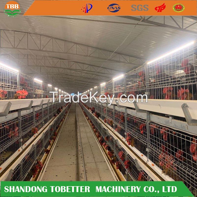 Poultry Broiler cage