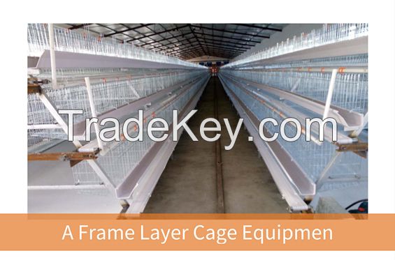 Poultry Broiler stepped cage