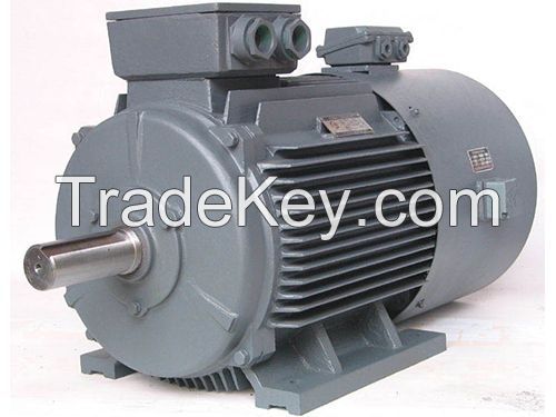 Variable Frequency Drive VFD Motor 3-Phase Async AC Motor