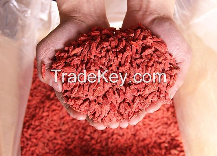 Ningxia Organic Dried Goji Berry lycium chinese wolfberry price