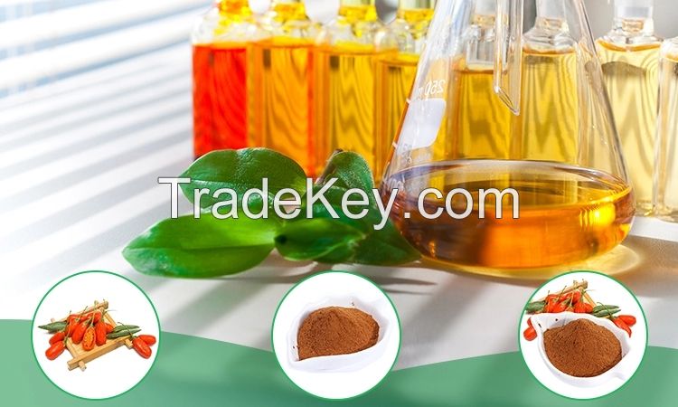 Lycium Goji berry powder extract chinese wolfberry medlar price