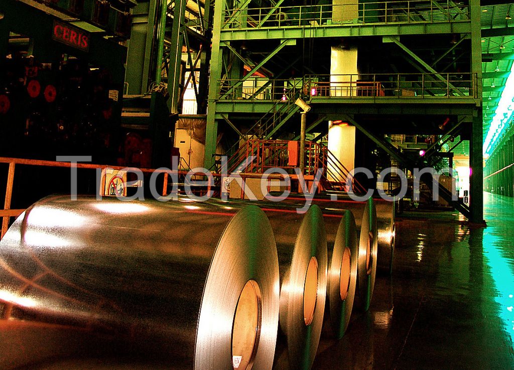 galvanized steel roils