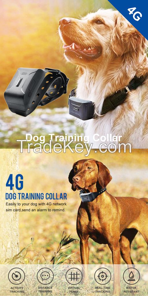 Aodiheng 2020 positioning pet big dog smart mini gps tracker for pets gps pet tracking device real time location 4g network 