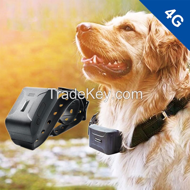 Aodiheng 2020 positioning pet big dog smart mini gps tracker for pets gps pet tracking device real time location 4g network 