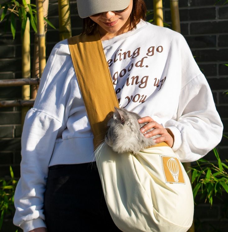 cat carrier shoulder bag