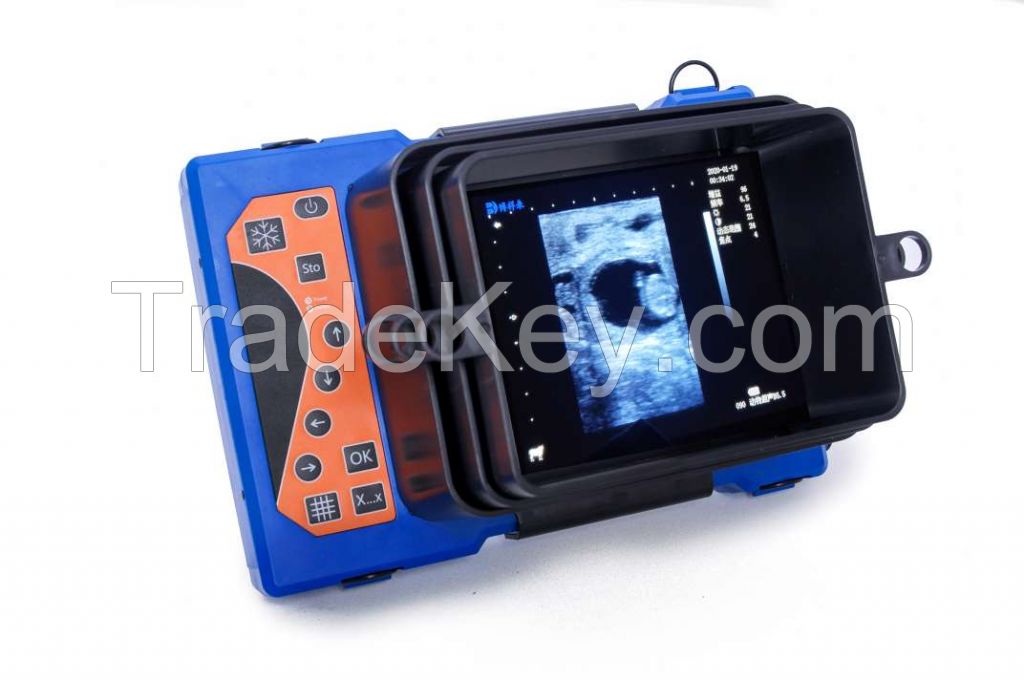 Veterinary Use Ultrasound Scanner (Veterinary Instrument)