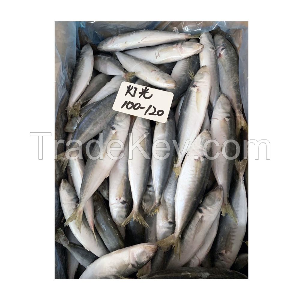 Seafoods and frozen food Frozen round scad fish for sale