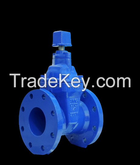 NRS Resilient Seated Gate Valve