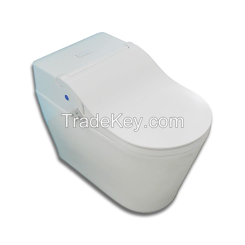 Advanced Smart Bidet Toilet Seat Warm Water Self Cleaning Heated Seat Convenient Nightlight