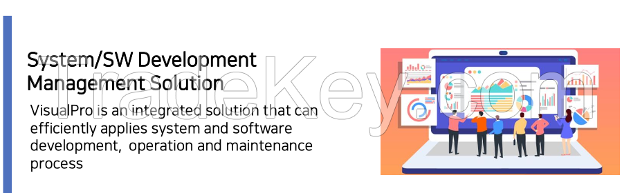 System / SW development management solution - Visual Pro.
