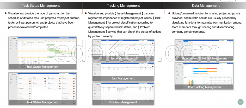 System / SW development management solution - Visual Pro.