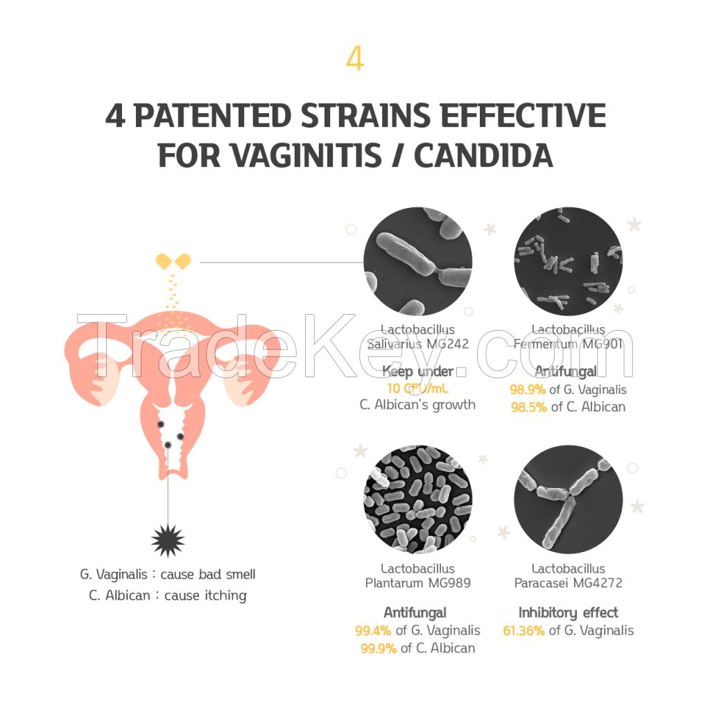 [PHYTOTICS Yellow] Probiotics for Women Vaginal Health 30 Caps