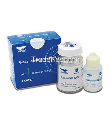 Glass Ionomer Cement Type I