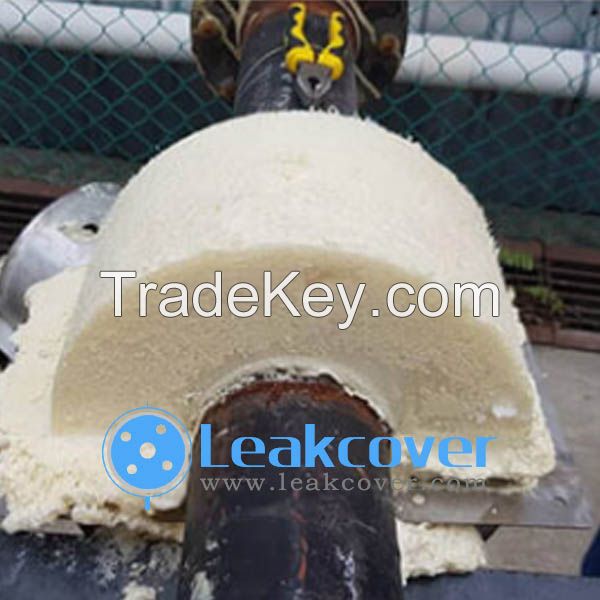 Flange corrosion Protection system