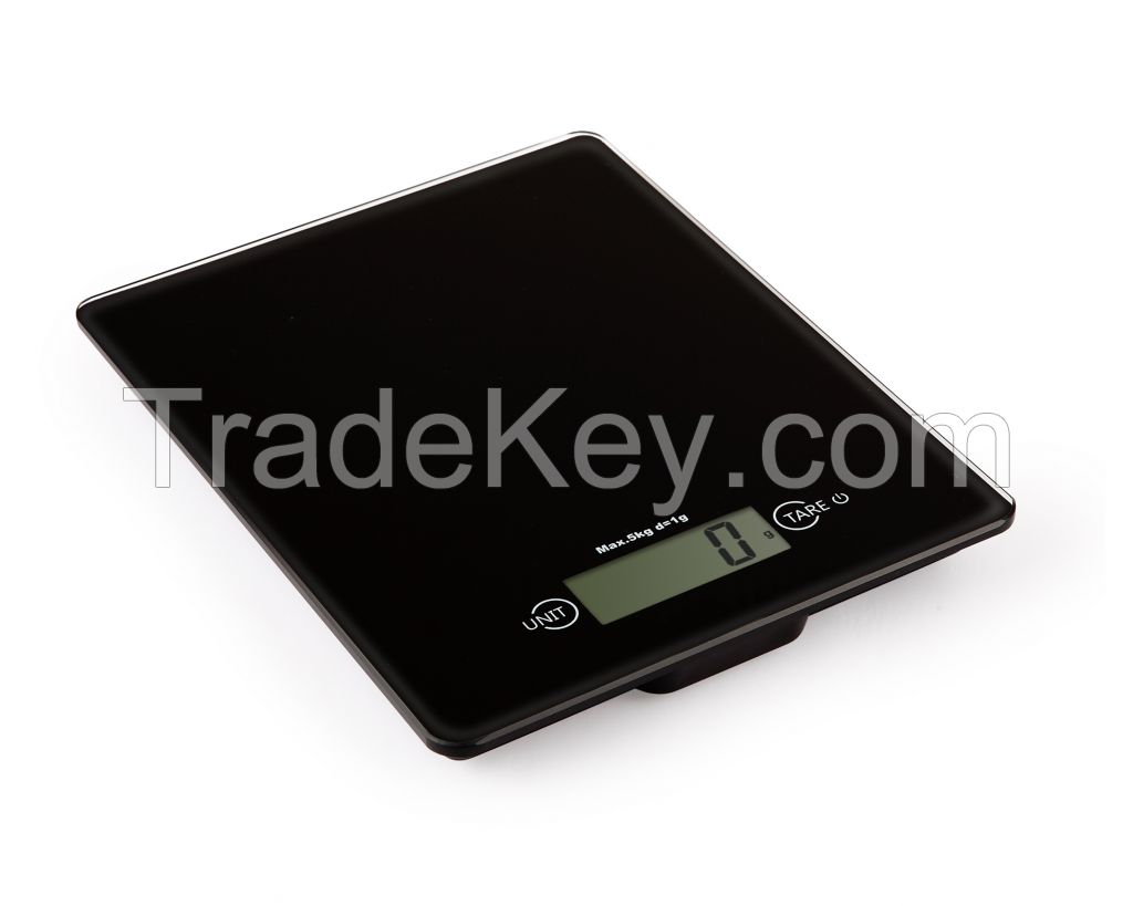 Health scale