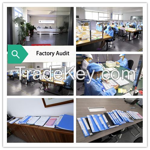 Basic Factory Audit (BFA)