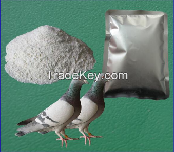 10% Enrofloxacin Soluble Powder Bird Medicine