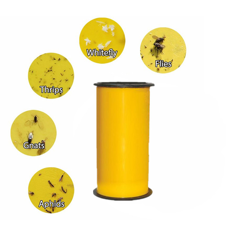 Greenhouse Insect Killer Glue Trap Yellow Sticky Insect Glue Tape Rolls