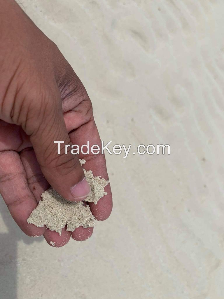 Sea Sand Or Marine Sand