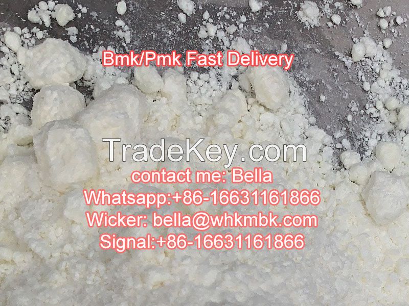 Pmk Powder Glycidate BMK Oil CAS 28578-16-7/13605/166 Pmk with Safe Delivery to Netherland