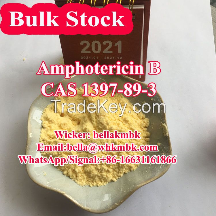 Antifungal Drug Amphotericin B 1397-89-3 with Safe Delivery