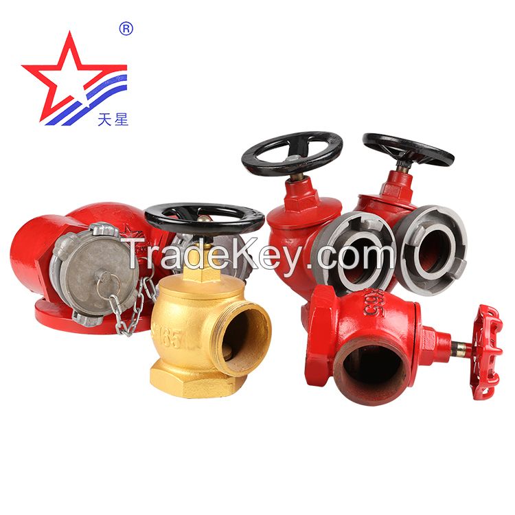 Vietnamese Type Double Body and Double Outlet Fire Hydrant