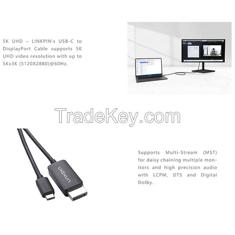USB-C to Display Port Cable Bsky