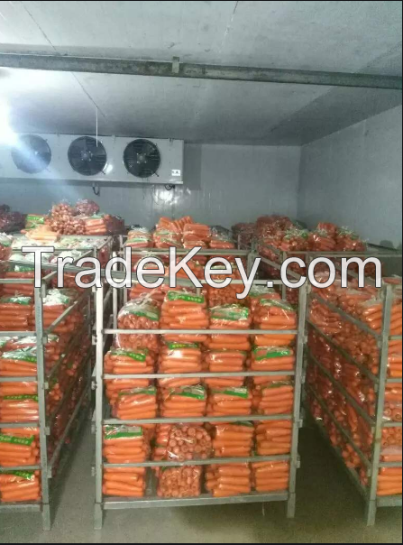 Meat Freezer Cold Storage Room Price For Meat And Fish