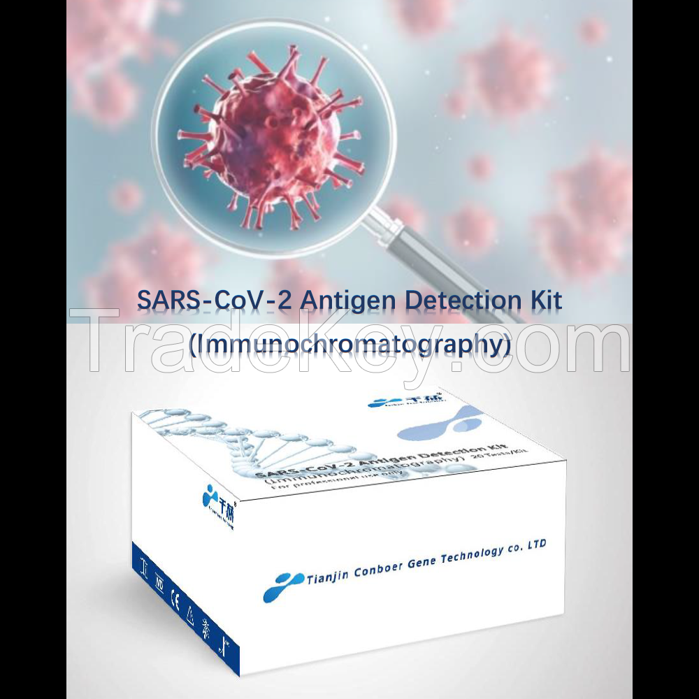 SARS-COV-2 Antigen Detection Kit