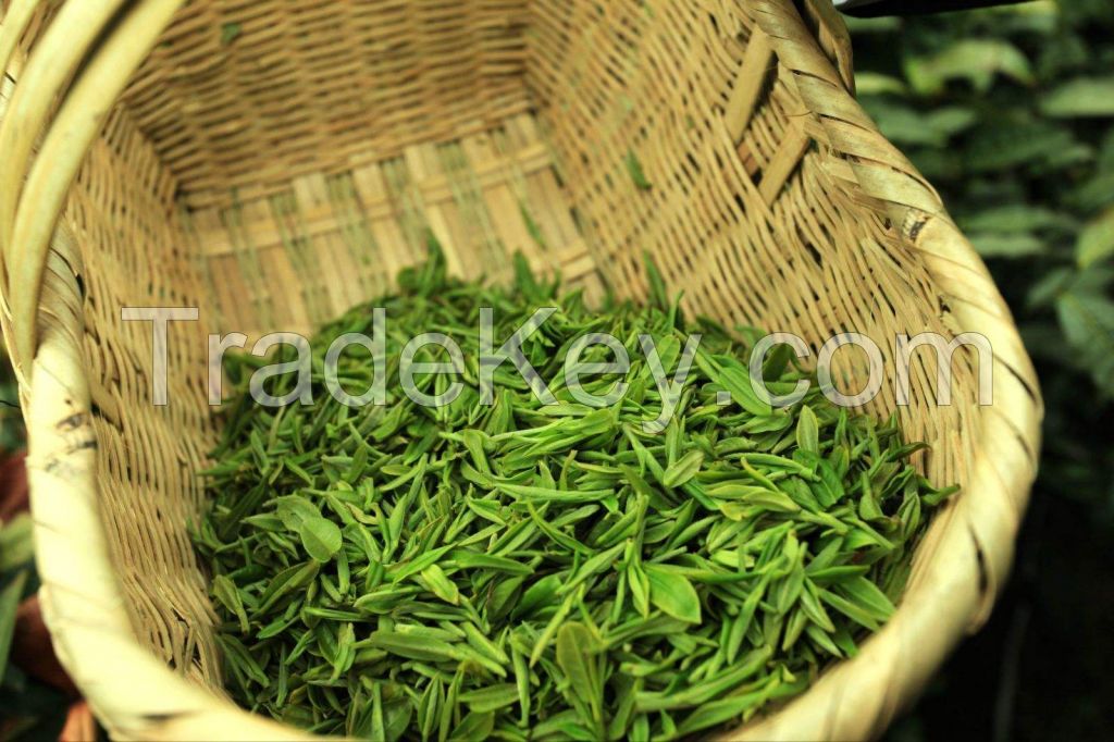 Green tea, black tea, Pu'er tea, Tieguanyin tea
