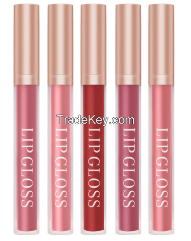 Sexy Matte Lip gloss Waterproof Long Lasting Moisturizing Velvet Lip Gloss Colorful Non Stick Cup Lip gloss Women Makeup