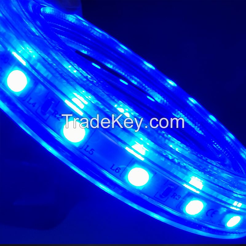 12V/24V LED Strip Lighting IP65 Waterproof SMD 5050 for Outdoor Party and Decoration