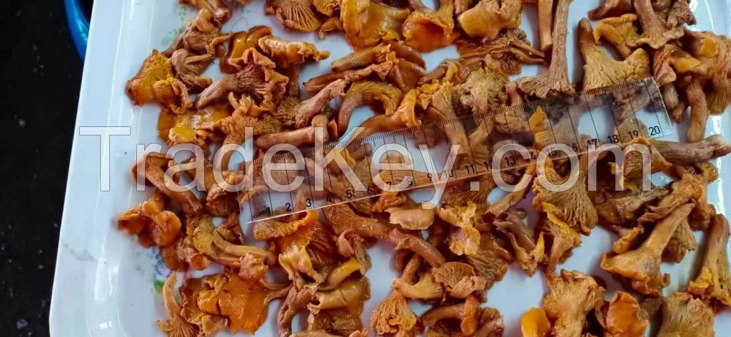 mushrooms in brine and dried
